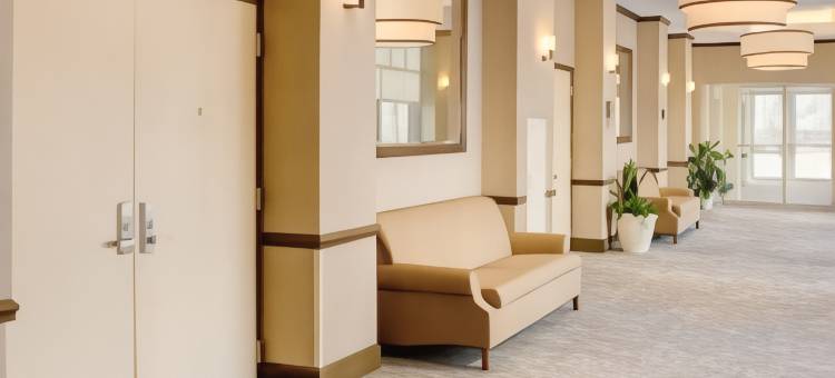 哈特福德北布拉德利国际机场希尔顿花园酒店(Hilton Garden Inn Hartford North/Bradley Int'l Airport)图片