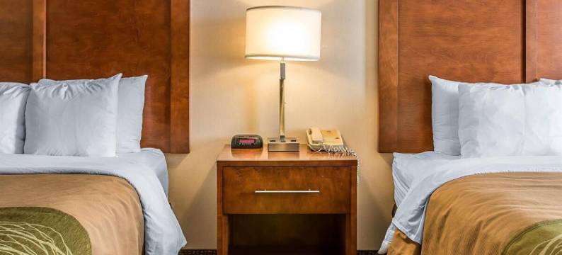 布拉夫顿套房酒店(BLUFFTON INN & SUITES by IHG)图片