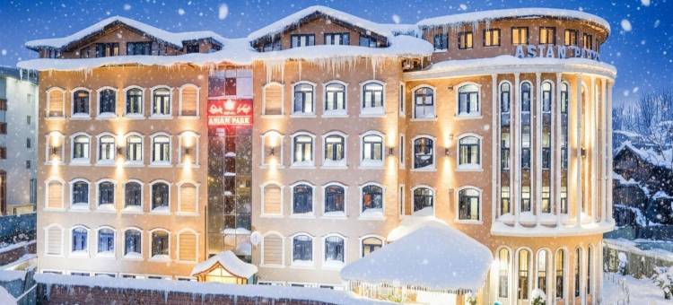 亚洲公园酒店(Hotel Asian Park)图片