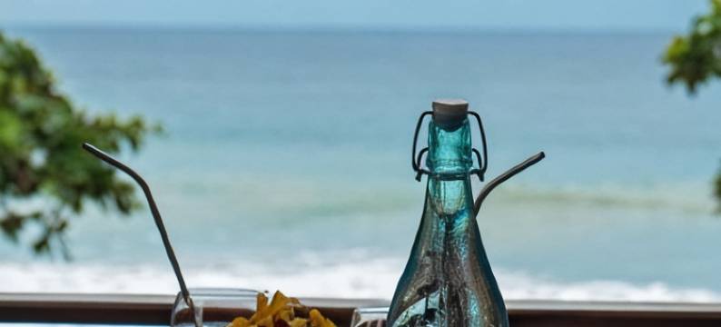 Parasol Doré = 金色阳伞(Parasol doré)图片