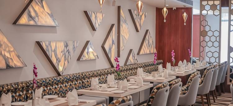 Regenta布希珀尔之地(Regenta Place Bhopal by Royal Orchid Hotels Limited)图片