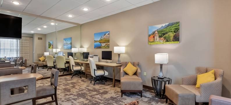 瑞士小屋贝斯特韦斯特优质套房酒店(Best Western Plus Swiss Chalet Hotel  Suites)图片