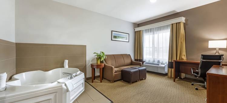 奥马哈东-康瑟尔崖舒适套房酒店(Comfort Suites Omaha East-Council Bluffs)图片
