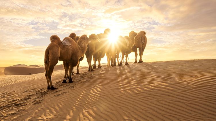 9-Day Beijing + Chifeng + Yulong Sand Lake + Ulan Butong Guoju Campground