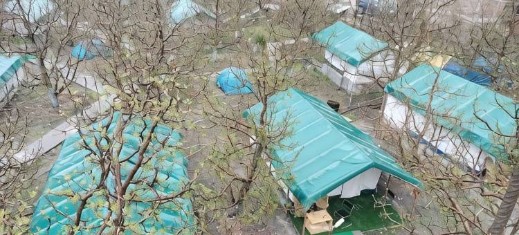 苹果果园农场和露营地(Apple Orchard Farm and Camping)图片