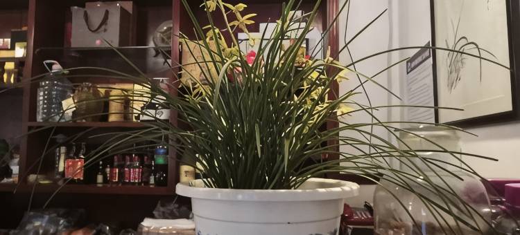桐庐芦茨溪影阁农家乐(马岭古道店)图片
