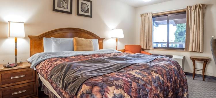 贝克城罗德威酒店(Rodeway Inn Baker City)图片