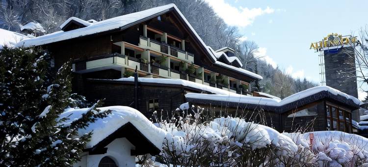 阿卡缇弗阿尔彭罗斯温泉酒店(Aktiv & Spa Hotel Alpenrose)图片
