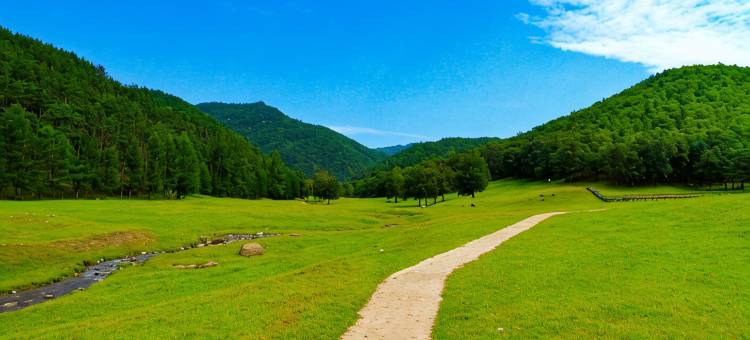 汤旺河白桦林旅馆图片