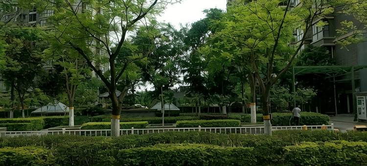 西安鑫源客栈图片