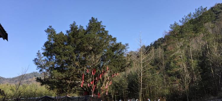 宁国桃湾山庄图片