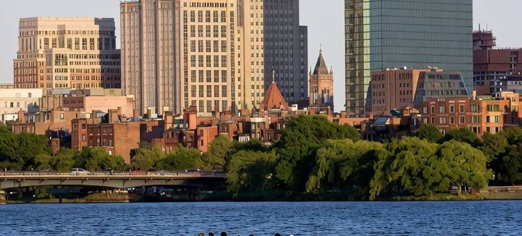 波士顿万豪酒店伯灵顿(Boston Marriott Burlington)图片