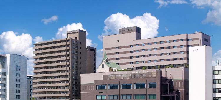 沼津滨江酒店(Numazu River Side Hotel)图片