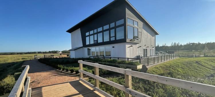 布莱克布什海滩度假村(Blackbush Beach Resort)图片