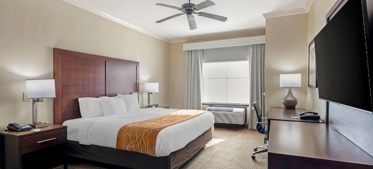 沃斯堡 - 化石溪舒适套房酒店(Comfort Inn & Suites Fort Worth - Fossil Creek)图片