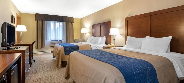 铁山北部的舒适酒店(Comfort Inn)图片