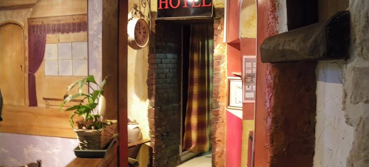 里奥多赫酒店及餐厅(Hôtel Le Lion d'Or Chinon)图片