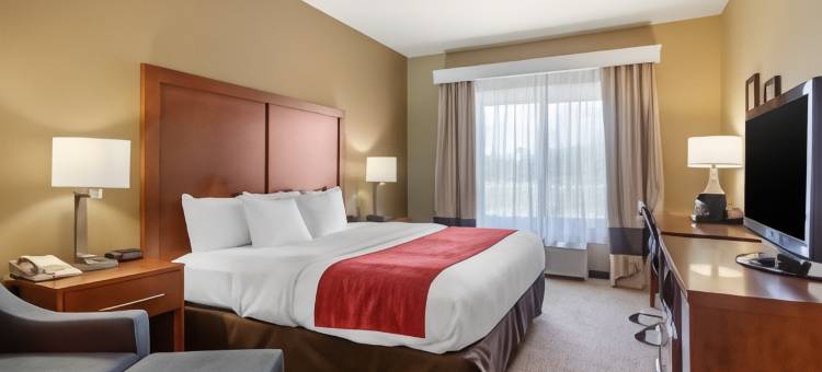 舒适套房酒店(Comfort Inn & Suites)图片