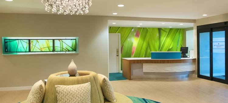 杰克逊维尔 SpringHill Suites 酒店(SpringHill Suites Jacksonville)图片