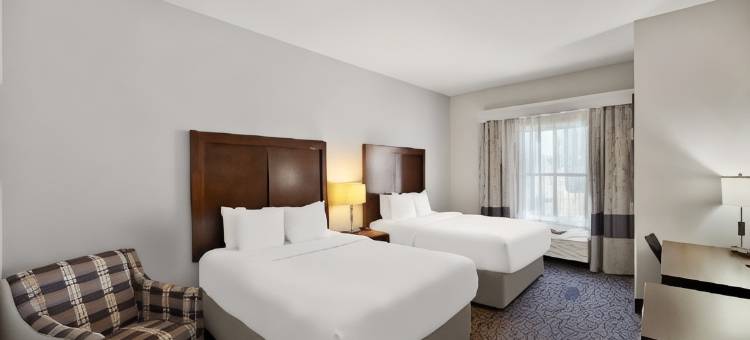 舒适套房酒店(Comfort Inn & Suites)图片