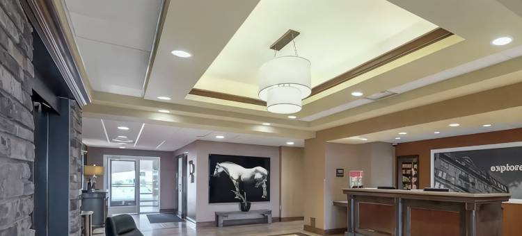 蒙克顿新不伦瑞克希尔顿欢朋套房酒店(Hampton Inn & Suites by Hilton Moncton)图片