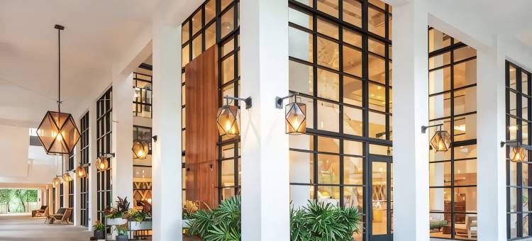 贝克湾基拉戈岛度假酒店-希尔顿格芮精选(Baker's Cay Resort Key Largo, Curio Collection by Hilton)图片