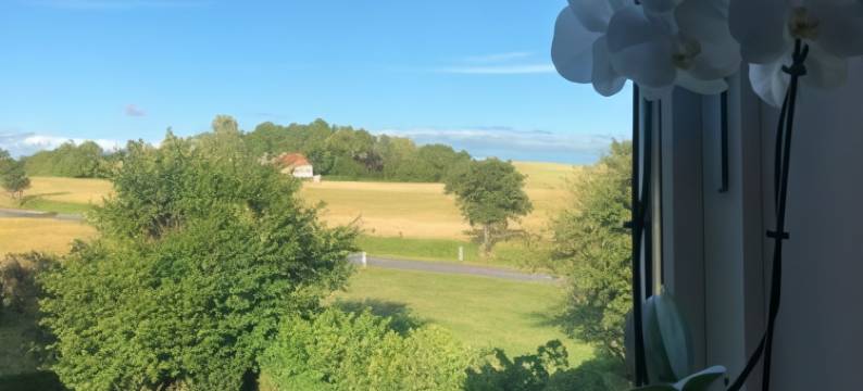 瑞士丹斯瓦豪小屋(Residens Svalhøj)图片