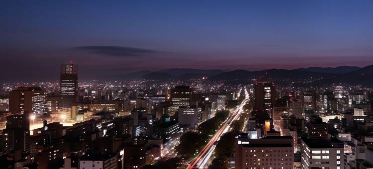 广岛东方酒店(Oriental Hotel Hiroshima)图片