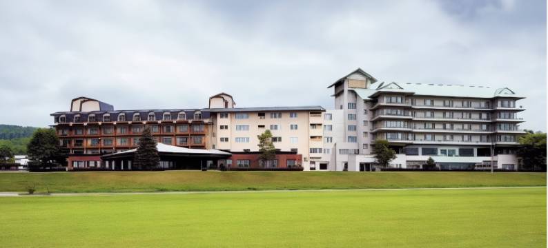 十胜川温泉Daiichi酒店豊洲亭豆阳亭(Tokachigawa Onsen Daiichi Hotel)图片