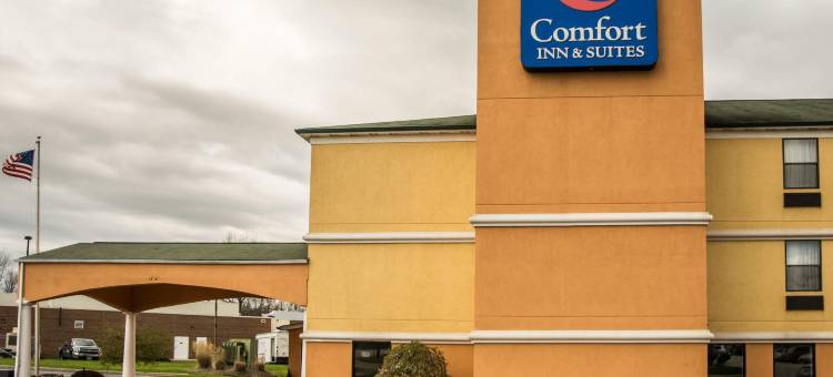 辛辛那提东门舒适套房酒店(Comfort Inn & Suites Cincinnati Eastgate)图片