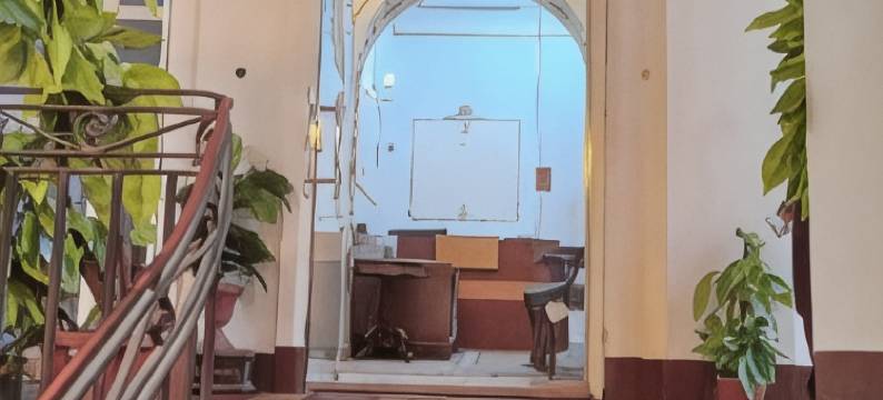 新全景酒店(New Panorama Hotel)图片