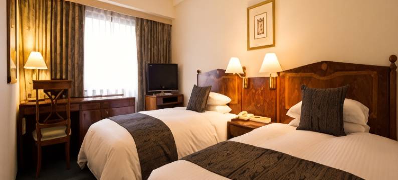 博多公爵酒店(Dukes Hotel Hakata)图片