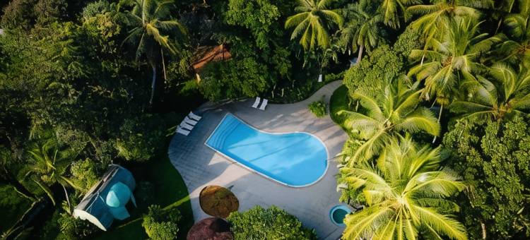 凯拉里印度疗养酒店(Kairali - the Ayurvedic Healing Village)图片