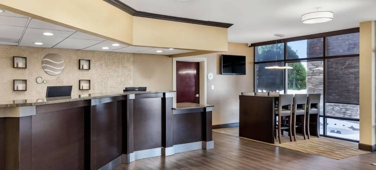 舒适酒店(Comfort Inn)图片