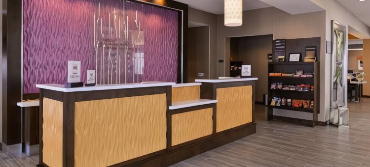 哈柏斯希尔顿花园酒店(Hilton Garden Inn Hobbs)图片