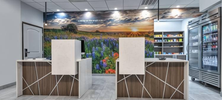 艾伦温德姆拉昆塔乡村套房酒店(La Quinta Inn & Suites by Wyndham Allen at the Village)图片