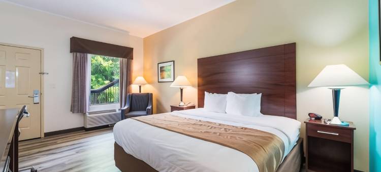 罗金厄姆凯艺套房酒店(Quality Inn & Suites Rockingham)图片