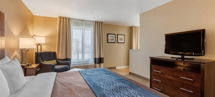 布莱恩-本顿特舒适套房酒店(Comfort Inn & Suites Bryant - Benton)图片