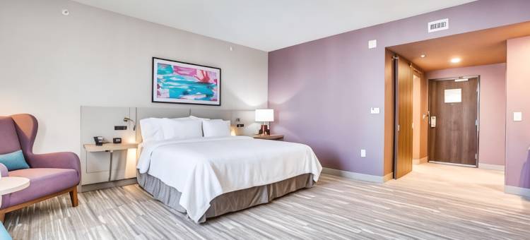 希尔顿花园酒店 北达拉斯中央高速公路(Hilton Garden Inn North Dallas Central Expy)图片