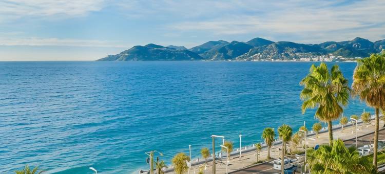 毛帕森别墅公寓酒店(Residhotel Villa Maupassant)图片