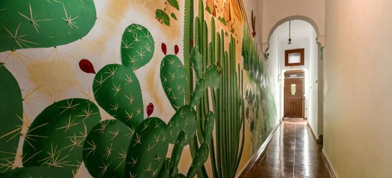 德拉戈青年旅馆(Drago Hostel)图片