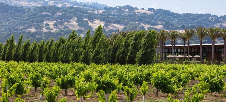 费尔菲尔德纳帕河谷地区Homewood Suites by Hilton(Homewood Suites by Hilton Fairfield-Napa Valley Area)图片