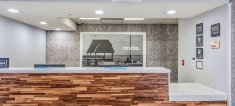 希尔顿欢朋酒店-旧金山湾海沃德(Hampton Inn Oakland/Hayward)图片