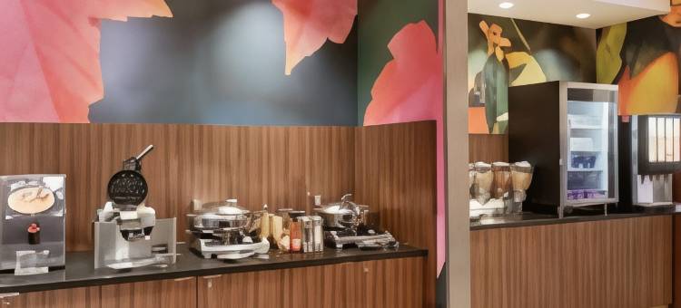 Fairfield Inn & Suites Pittsburgh Airport/Robinson Township图片