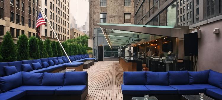 纽约/中城公园大道希尔顿花园酒店(Hilton Garden Inn New York/Midtown Park Avenue)图片