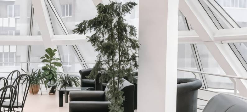 Smart Hotel Kdo Samara Hotel图片