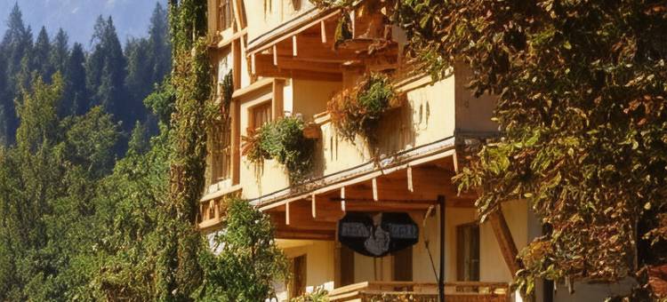 祖尔穆勒酒店(Hotel-Gasthof "Zur Mühle")图片