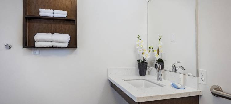 阿纳海姆-度假区洲际旗下Candlewood Suites酒店(Candlewood Suites ANAHEIM - RESORT AREA by IHG)图片