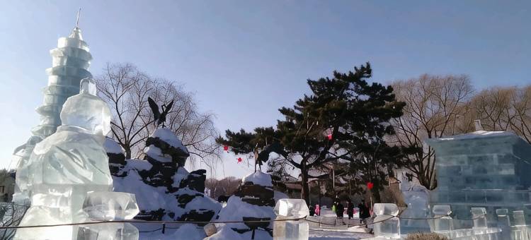 长春快乐大本营入住图片