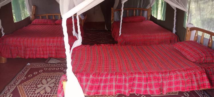 马赛马拉马尼亚塔露营酒店(Masai Mara Manyatta Camp)图片